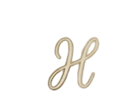 logo-removebg-preview